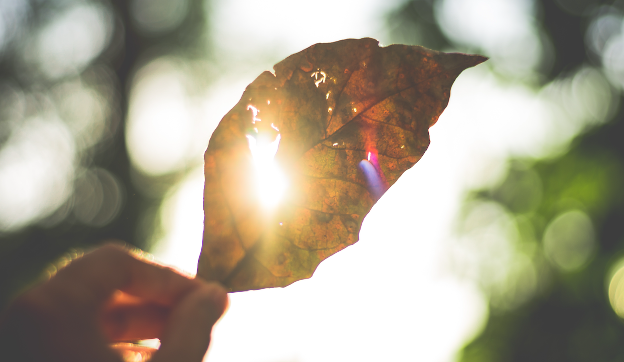 Güneşten korunma yolları