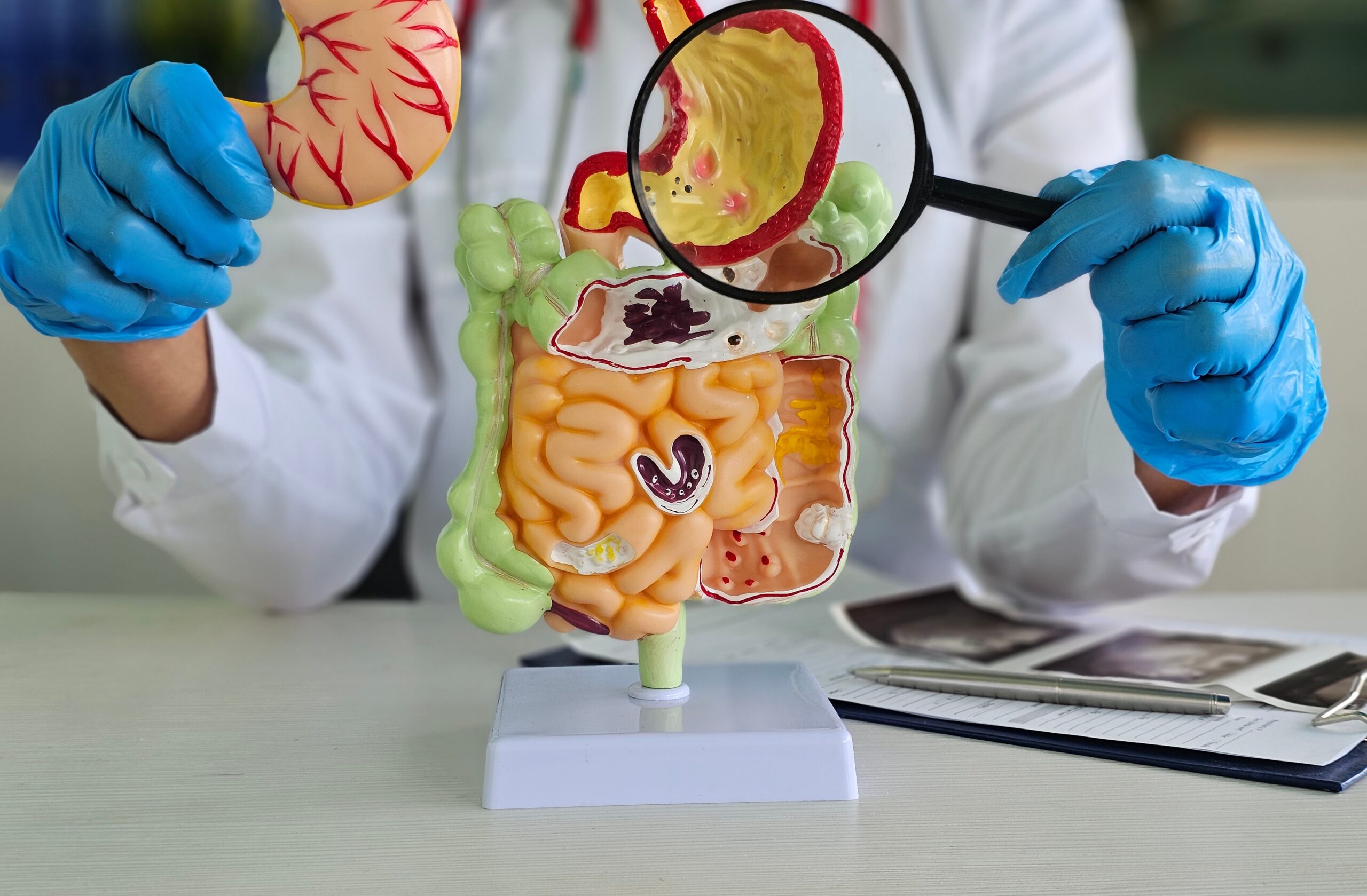 Prebiyotik ve Probiyotik Kullanımı