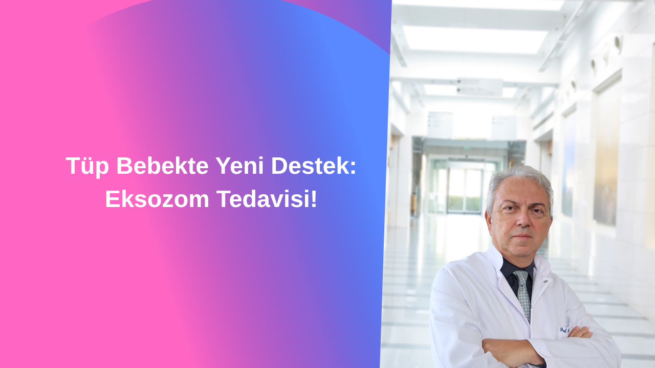 Tüp Bebekte Yeni Destek: Eksozom Tedavisi!